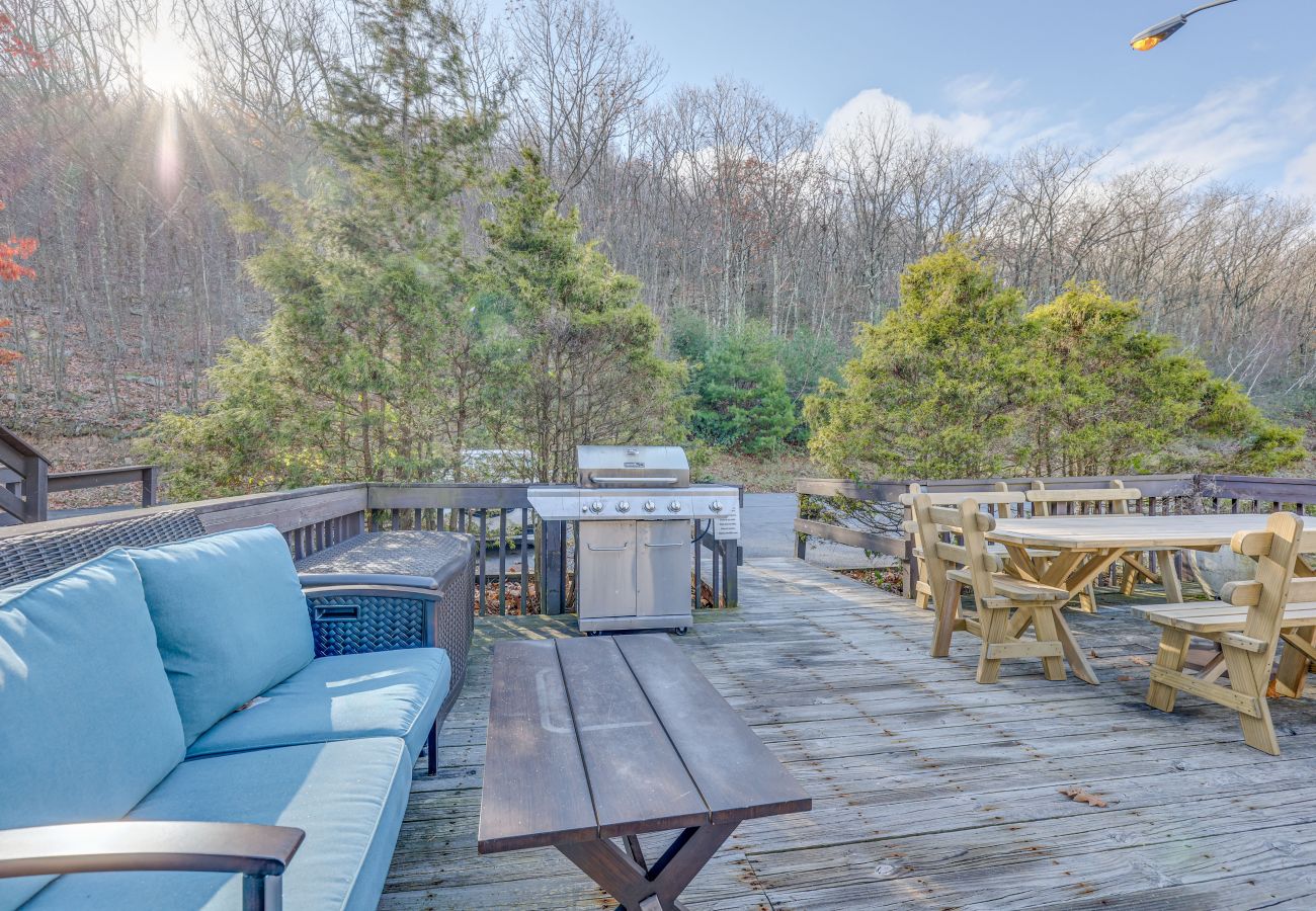 House in Tannersville - The Best Views From Camelback