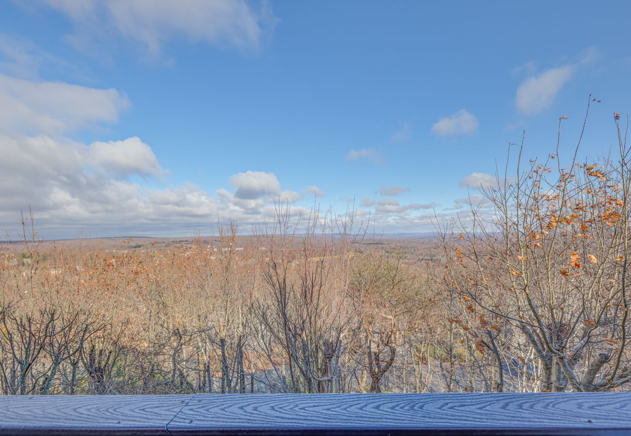 House in Tannersville - The Best Views From Camelback